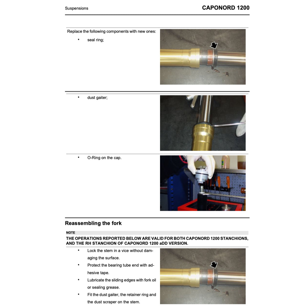 Aprilia CAPONORD 1200 2013-2018 Full Manual Set – Repair & Maintenance Manual and Spare Parts Catalog and User Handbook - page 7